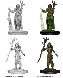 Human Female Druid: D&D Nolzur's Marvelous Unpainted Miniatures (W2)
